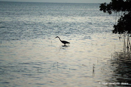 030404 marine bio 086