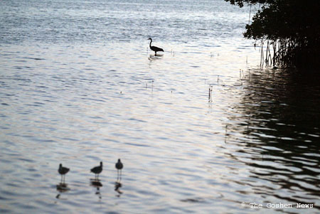 030404 marine bio 095