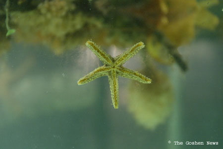 030406 marine bio 033