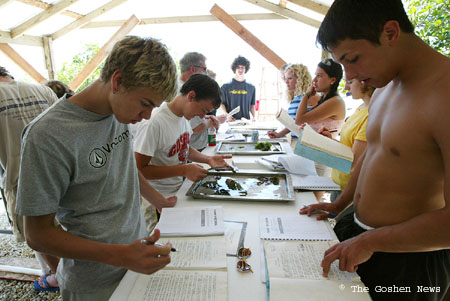 030407 marine bio 022
