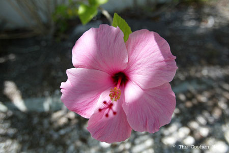 030407 marine bio 047
