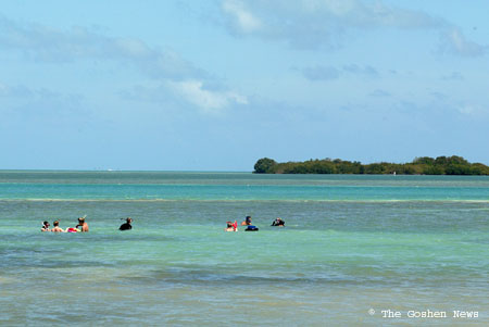 030408 marine bio 034