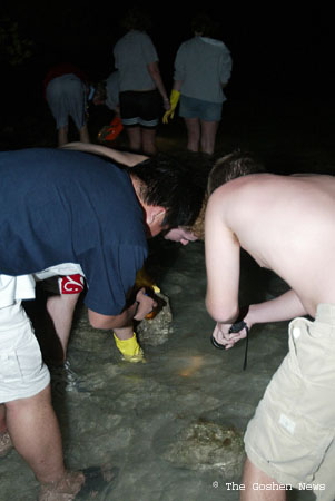 030409 marine bio 119