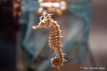 030409 small aquarium 01