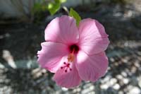030407 marine bio 047