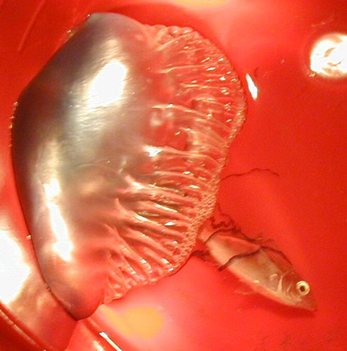 P4040002