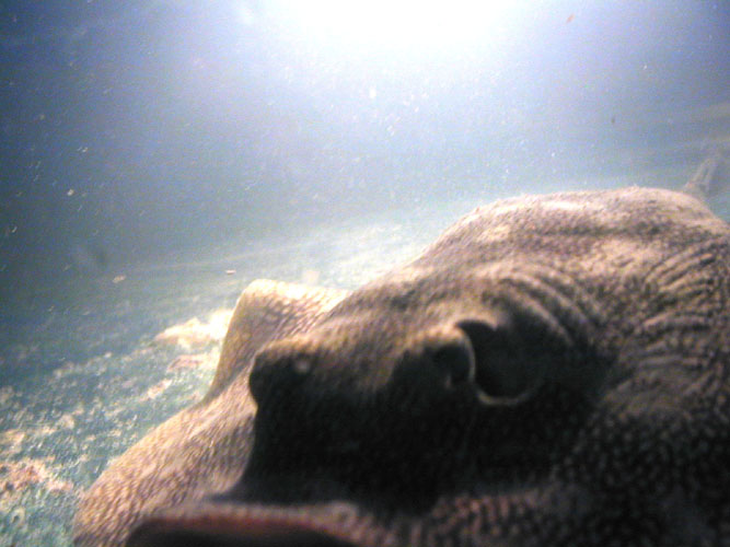 P4050069