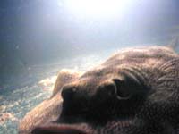 P4050069