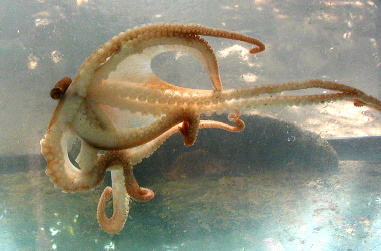 P4060036