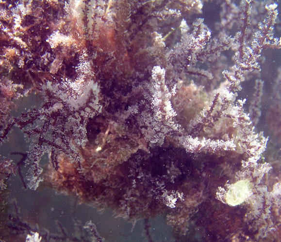 P4080793