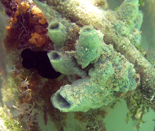 P4080811