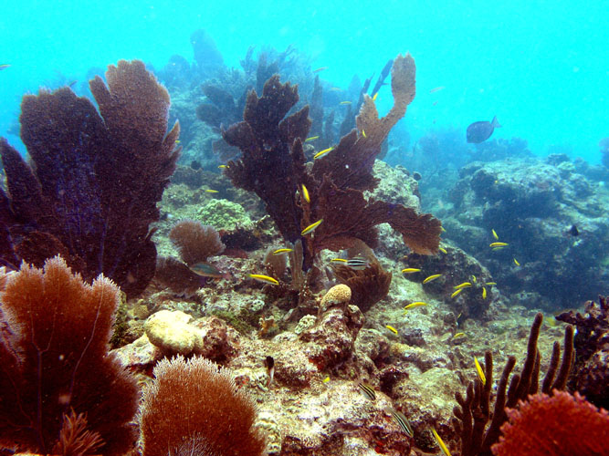 P4090025