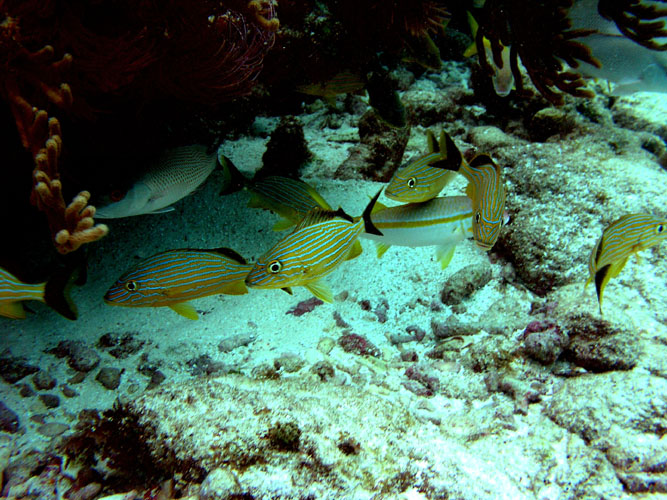 P4090031