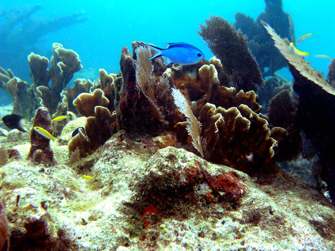 P4090039