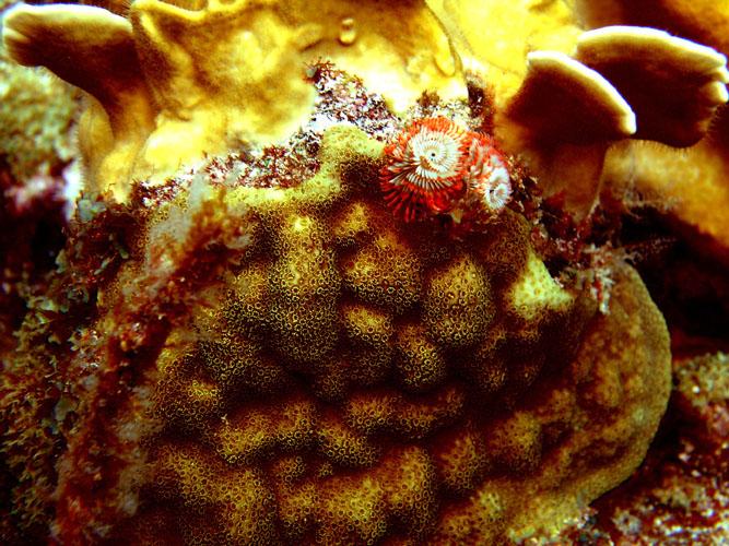 P4090057