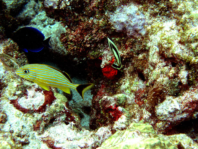 P4090058