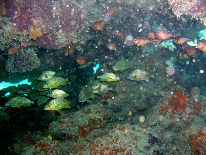 P4090066