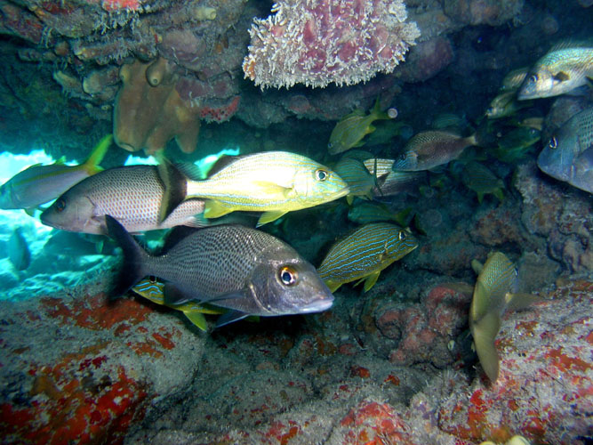 P4090067