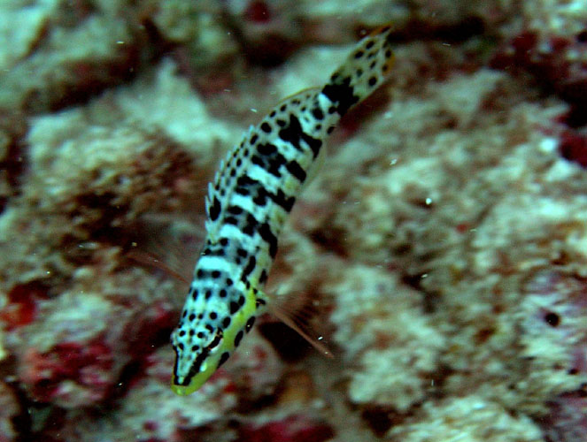 P4090072