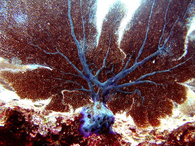 P4090078