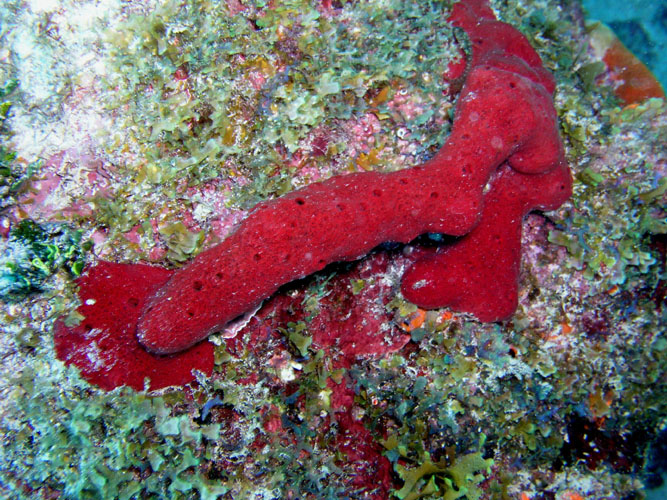 P4090080