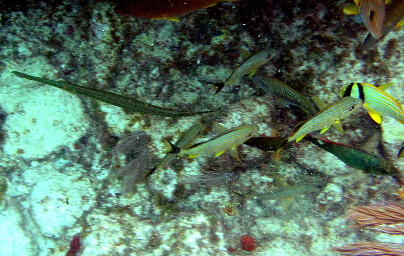 P4090082