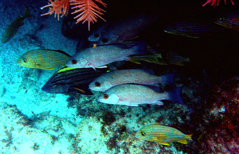P4090858