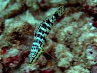 P4090072