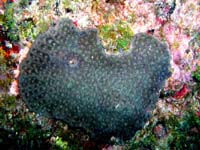 P4090877