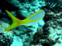 P4090881