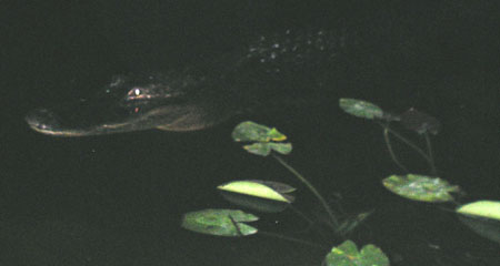 P4100169