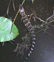 P4100172