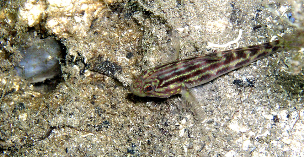 P4050379