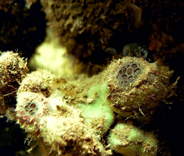 P4050402