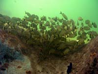 P4050447