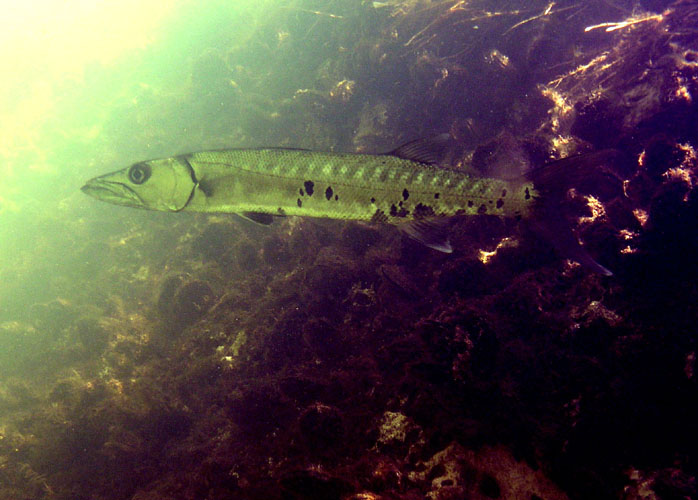 P4070618
