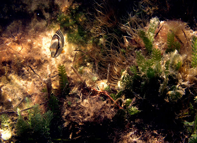 P4070649