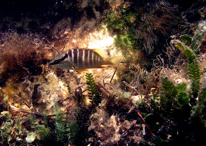 P4070650
