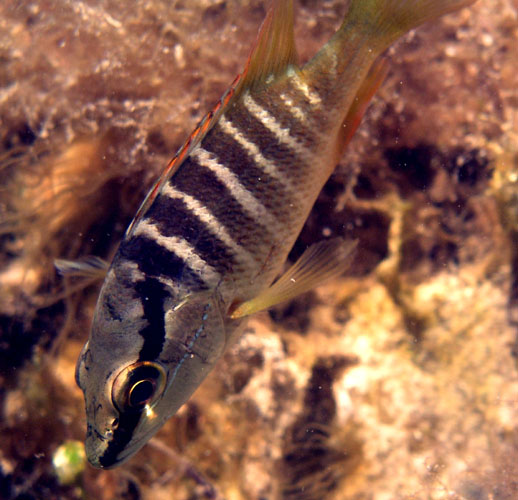 P4070652