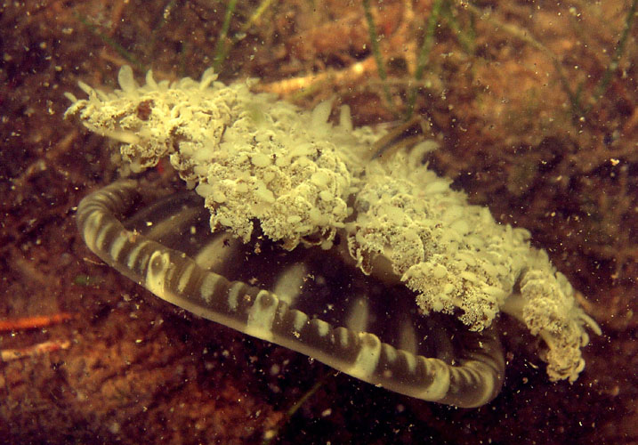 P4070662