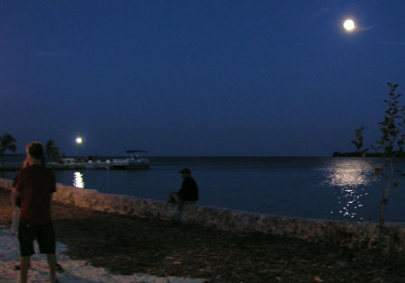 P1014382
