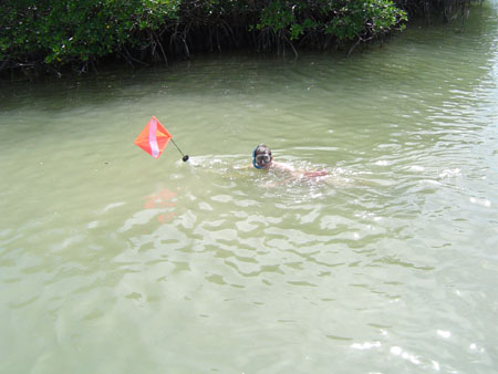 DSC01242