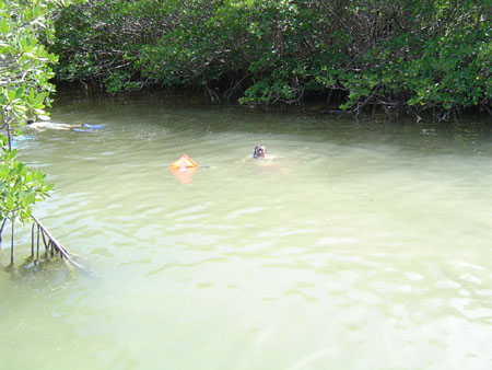 DSC01243