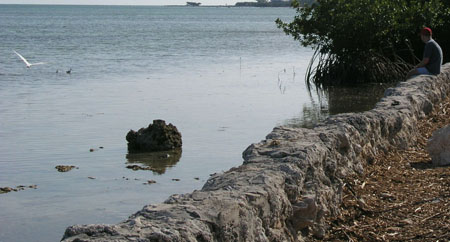 P1014317
