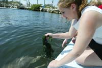 040405 marine bio 025