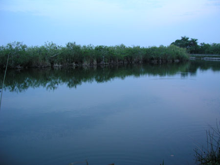 P1015409