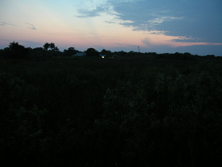 P1015422