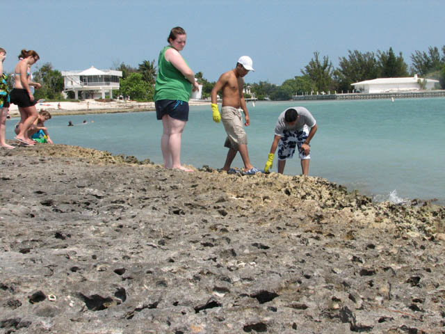 exploring_beach