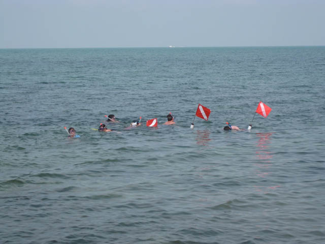 gulfside