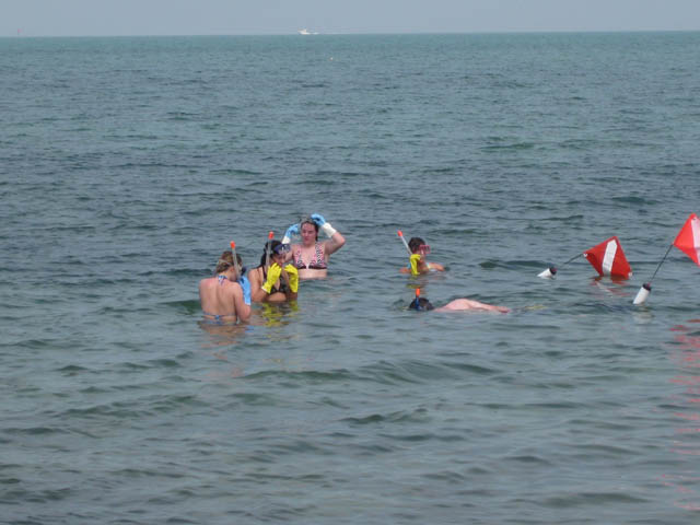 swimout
